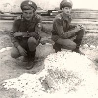 39