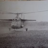 40