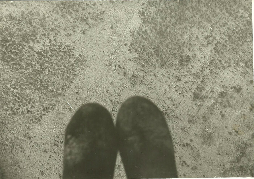 65